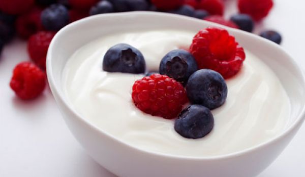 Fruit Yogurt