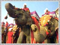 Elephanta Festival