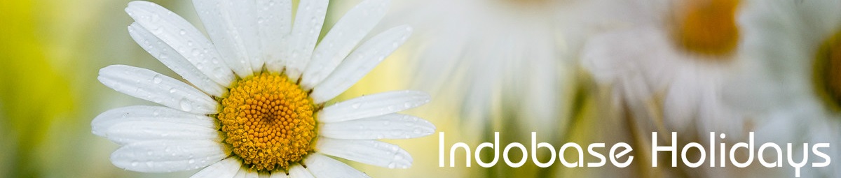 Indobase