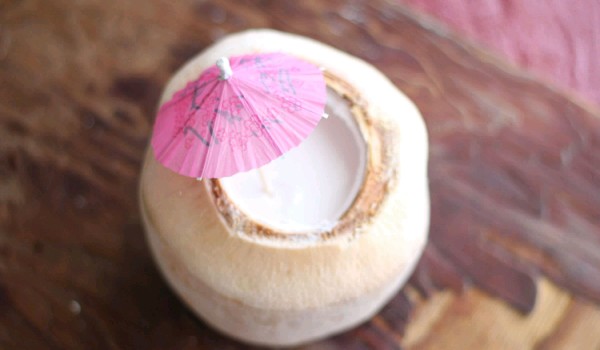 Agar And Young Coconut Jelly