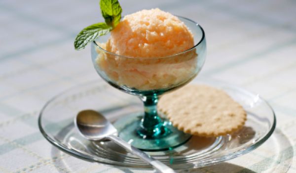 Apple and Honey Sorbet Recipe