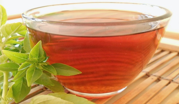 Basil Tea Basil Tea