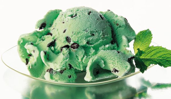 Chocolate Mint Ice Cream Recipe