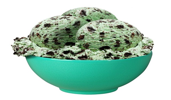 Mint Chocolate Chip Ice Cream