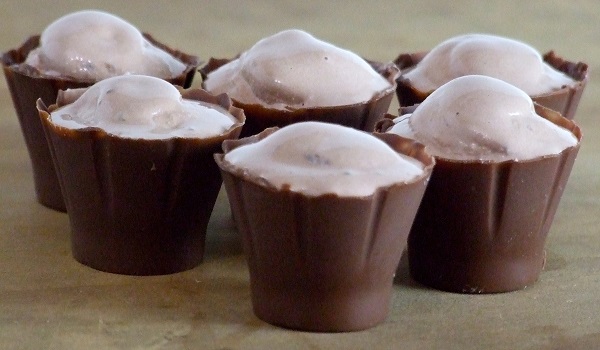 Pudding Shots