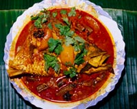 Bengali Fish Curry