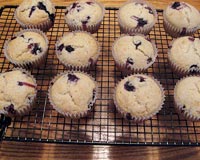 Blueberry Muffins