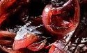 Caramelised Onion Chutney