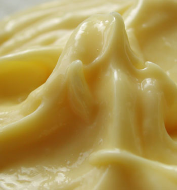 Cranberry Mayonnaise Cranberry Mayonnaise