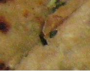 Gobi Paratha