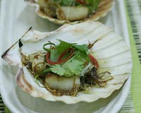 Oyster Scallop